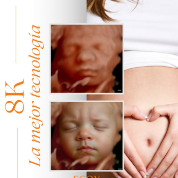 Captura de pantalla 2026-03-05 130058